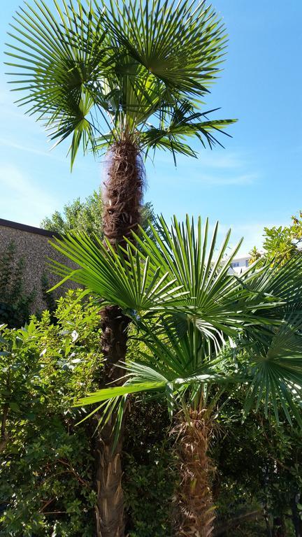 Hotel Elvetico Locarno Rum bild